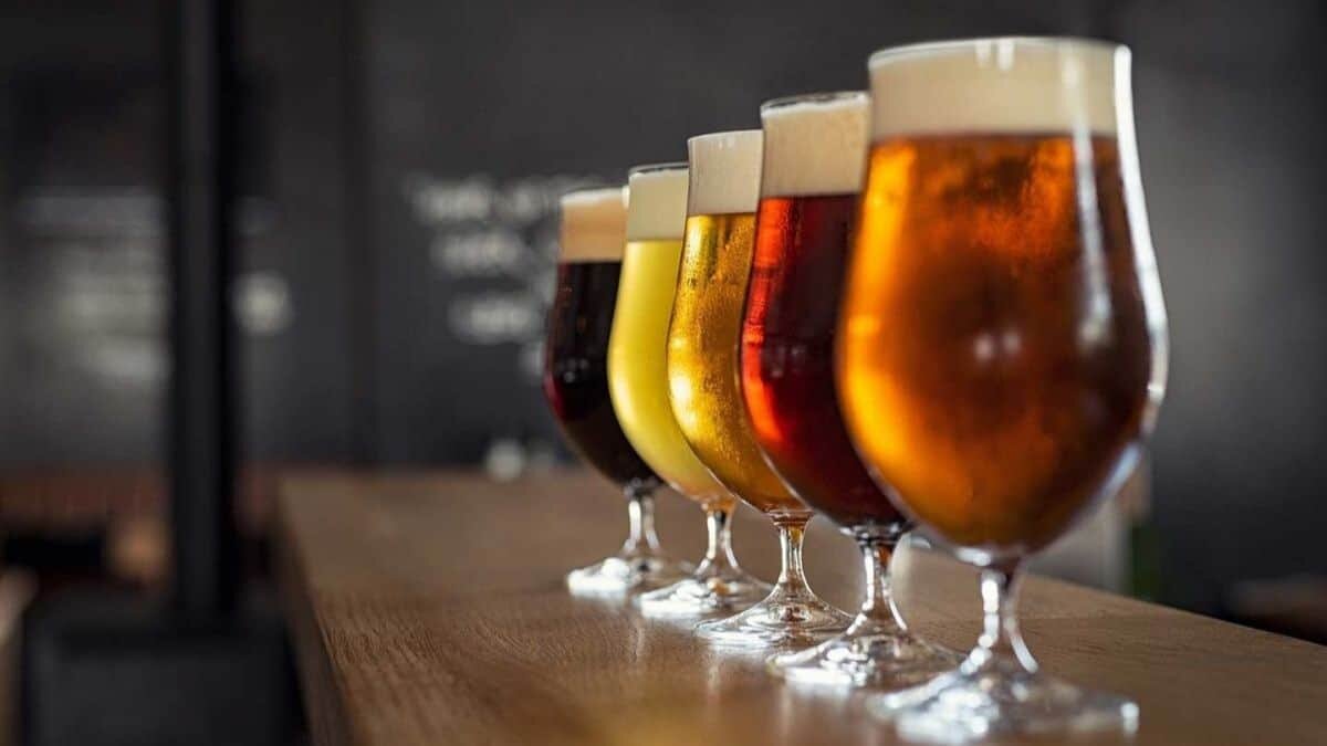 La cerveza es una de las bebidas más importantes y solicitadas en todo el mundo, clara o oscura, conoce los tipos que hay.